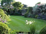 Garden - lawn care