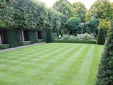 Large garden - lawn care